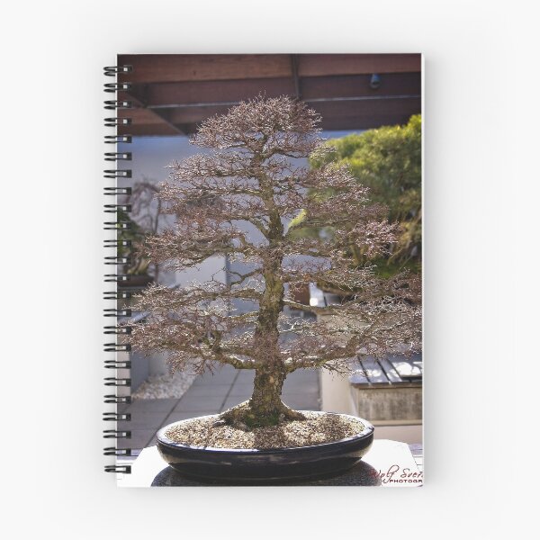 Item preview, Bonsai at the National Arboretum in Canberra/ACT/Australia (1) designed and sold by Wolf Sverak Photography.