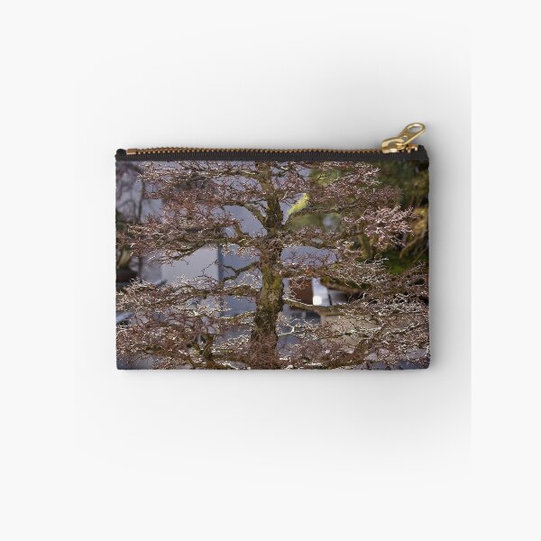 Item preview, Bonsai at the National Arboretum in Canberra/ACT/Australia (1) designed and sold by Wolf Sverak Photography.