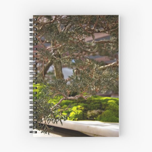 Item preview, Bonsai at the National Arboretum in Canberra/ACT/Australia (3) designed and sold by Wolf Sverak Photography.