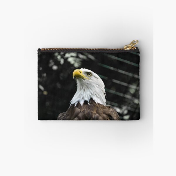 Item preview, Bald eagle designed and sold by Dagostino.