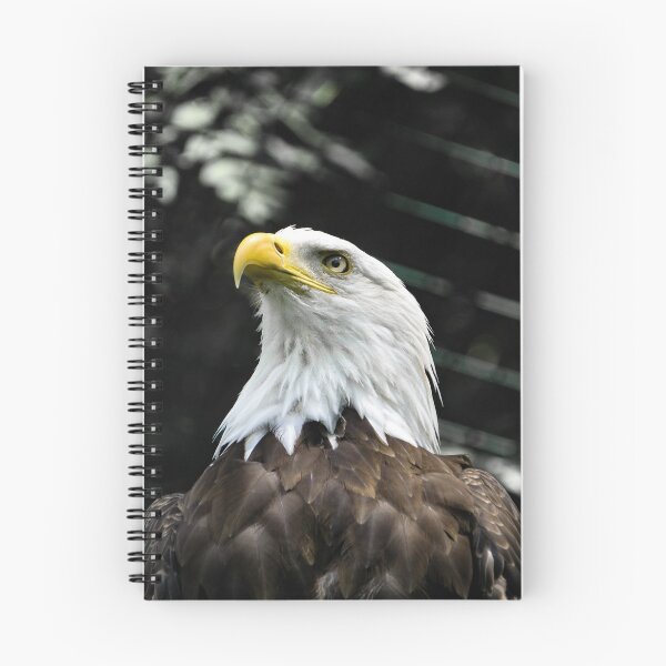 Item preview, Bald eagle designed and sold by Dagostino.