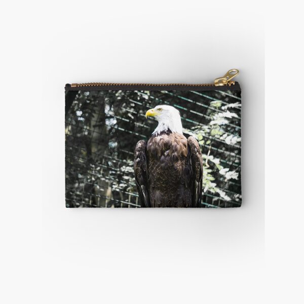 Item preview, Bald Eagle - heraldic bird designed and sold by Dagostino.