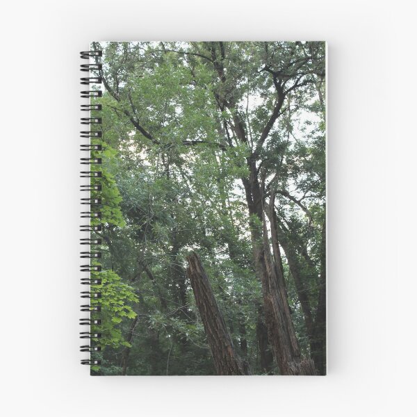 Item preview, Pennypack Park Philadelphia, PA designed and sold by RickeyAnnRose.