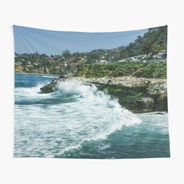 La Jolla California - Pacific Ocean Power Shaping the Coast Tapestry
