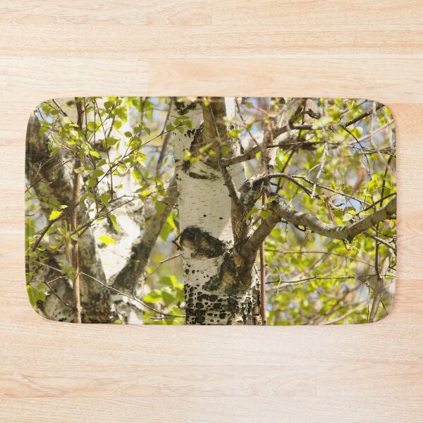 Item preview, Spring Birch Trees designed and sold by Natural-Habitat.