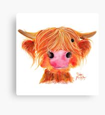 HIGHLAND COW ' ORANGE ' By Shirley MacArthur Canvas Print