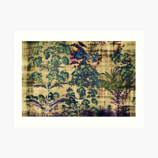 Untitled Art Print