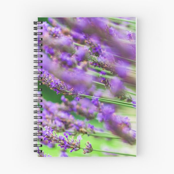 Item preview, Lavender violet  flowers in the garden, summer day, nature designed and sold by Alexander Sorokopud.