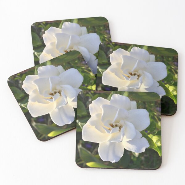 Item preview, Gardenia White Flower Blossom, Photography Nature designed and sold by ArticLotusShop.