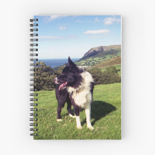 Item preview, Memories of Summer! designed and sold by Michael Haslam.