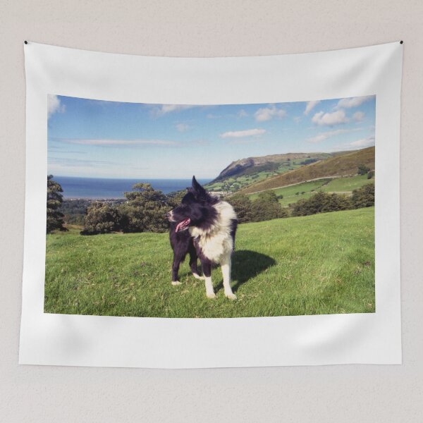 Item preview, Memories of Summer! designed and sold by Michael Haslam.
