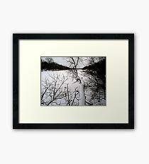 The Bold and the Beautiful Framed Print