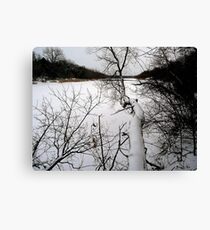 The Bold and the Beautiful Canvas Print