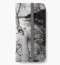 The Bold and the Beautiful iPhone Wallet/Case/Skin