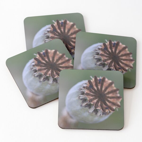 Item preview, poppy capsule designed and sold by Roswitha Lorz.