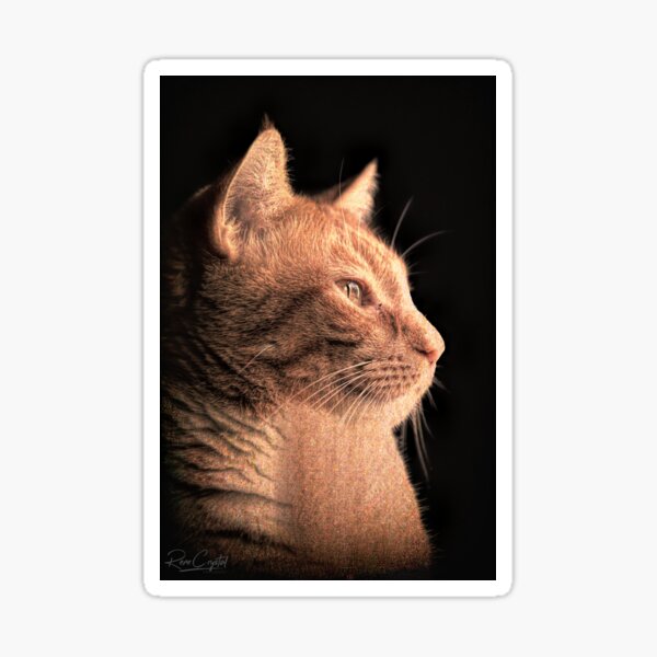 Henry the Mighty Sticker