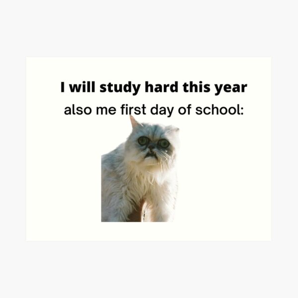 "Cat meme" Art Print for Sale by Eckaa Redbubble