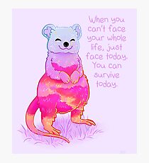 "When You Can't Face Your Whole Life" Sunrise Quokka Photographic Print