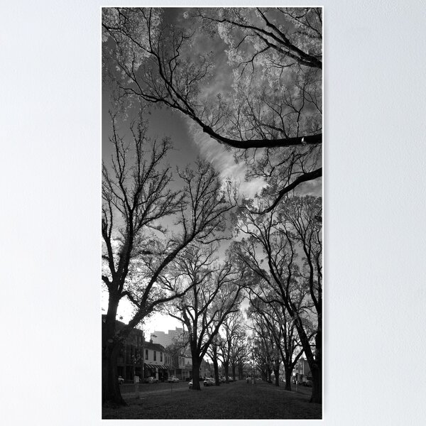 Item preview, Autumn morning in McCarthur Park designed and sold by ashleyng.