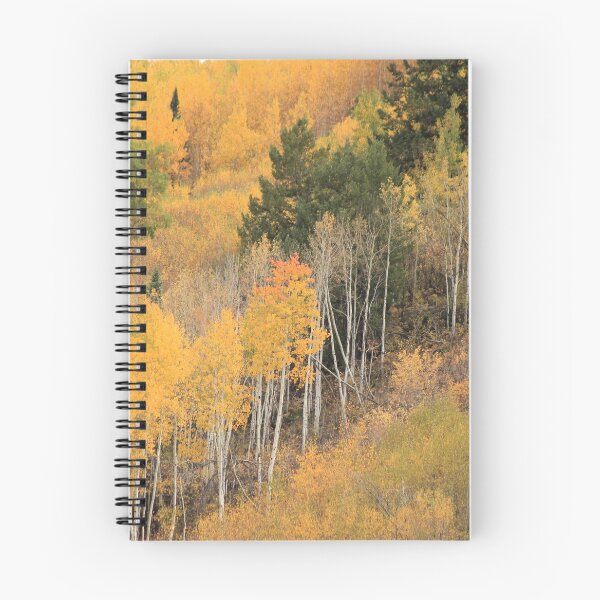 Item preview, Autumn in the Aspens designed and sold by Jokaylena Moore.