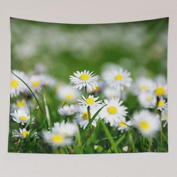 Item preview, Daisy land art work. designed and sold by JazzLove.