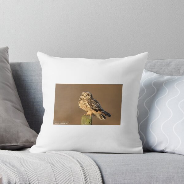Item preview, SHORT EARED OWL designed and sold by Dean   Eades.