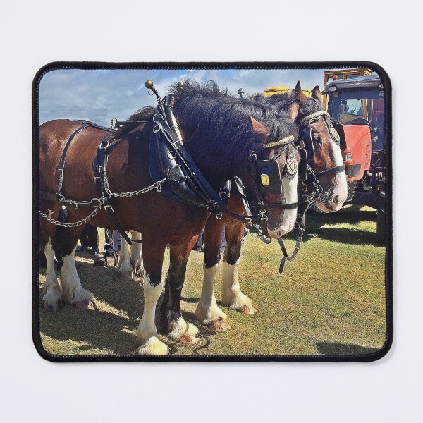 Item preview, Shire horses  designed and sold by Richenda.