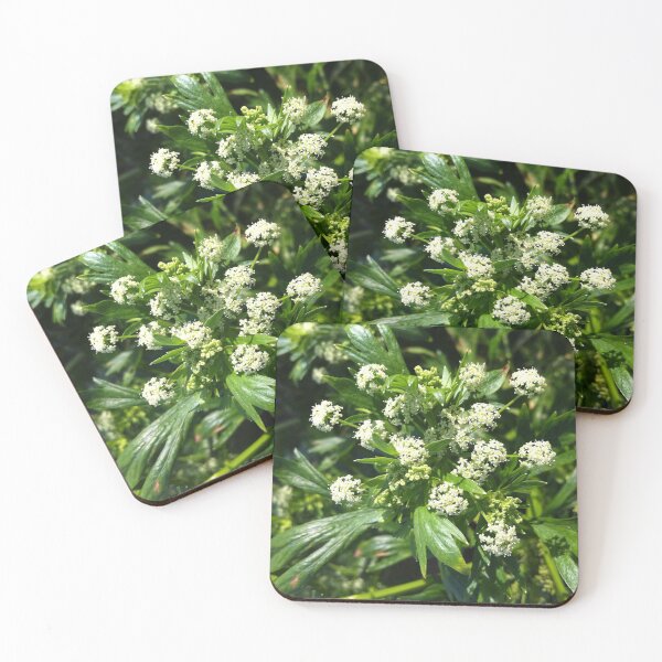 Item preview, Lush Green Foliage Photography designed and sold by ArticLotusShop.