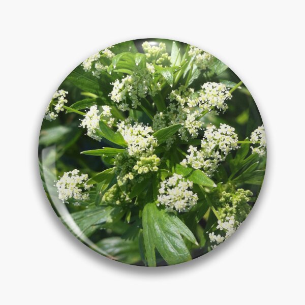 Item preview, Lush Green Foliage Photography designed and sold by ArticLotusShop.