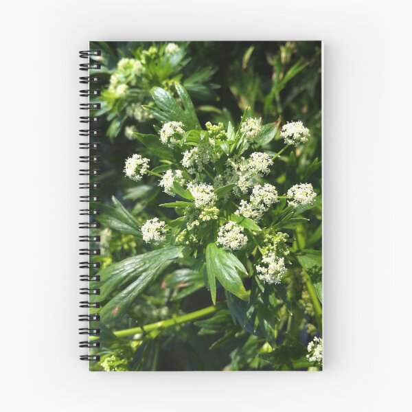 Item preview, Lush Green Foliage Photography designed and sold by ArticLotusShop.