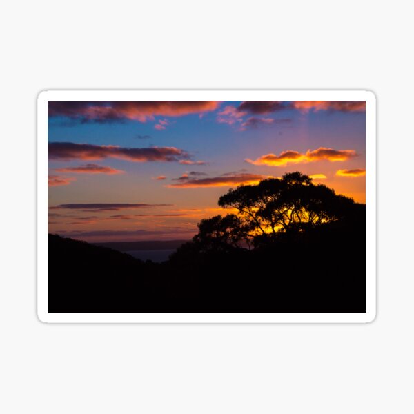 Item preview, Heysen trail at Deep Creek designed and sold by indiafrankk.