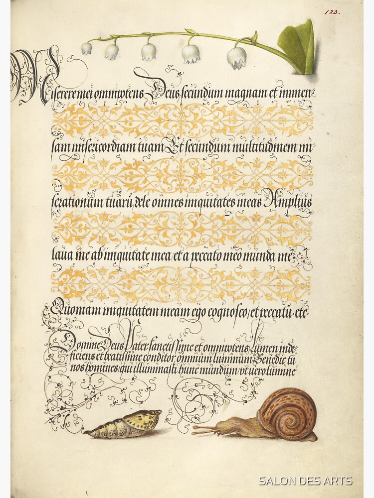 "Flower and Snail (15611596) Medieval Illuminated Manuscript