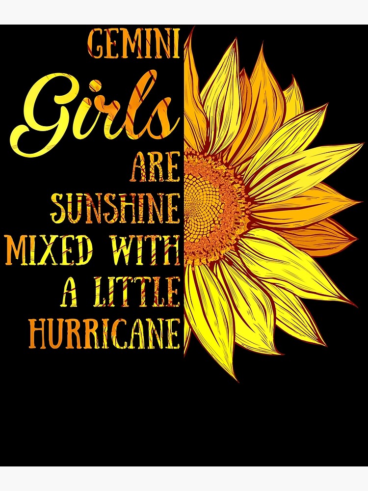 Gemini Girls Sunshine Mixed Hurricane Sunflower Poster