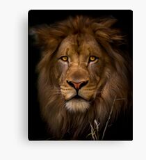 Passive Canvas Print
