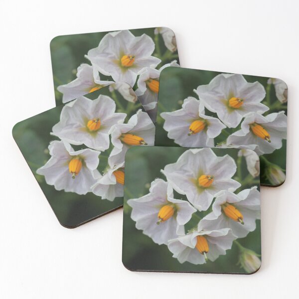 Item preview, The unexpected beauty of the potato flower designed and sold by cuprum.