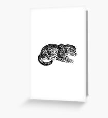 Curiousity Greeting Card
