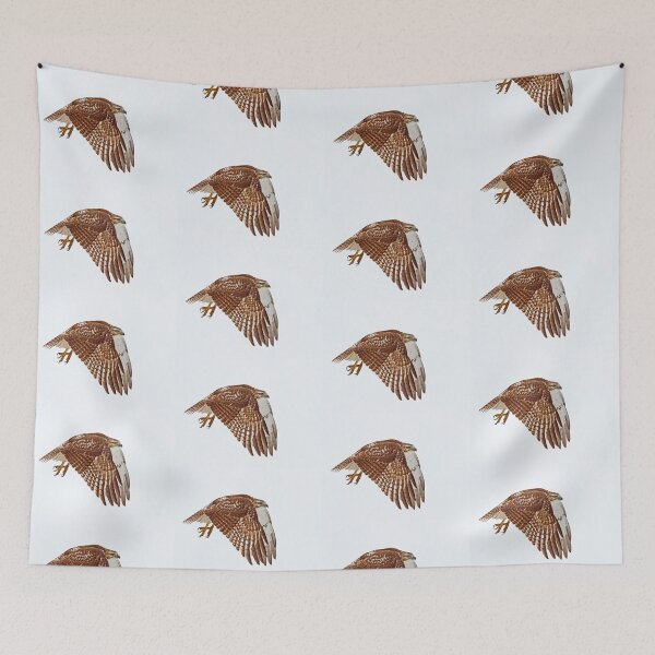 Item preview, Red-tailed Hawk - Liftoff designed and sold by James Cumming.