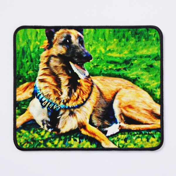Item preview, Belgian Shepherd playing on grass designed and sold by mrtom414.