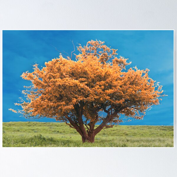 Item preview, Standing out designed and sold by DigitalView.