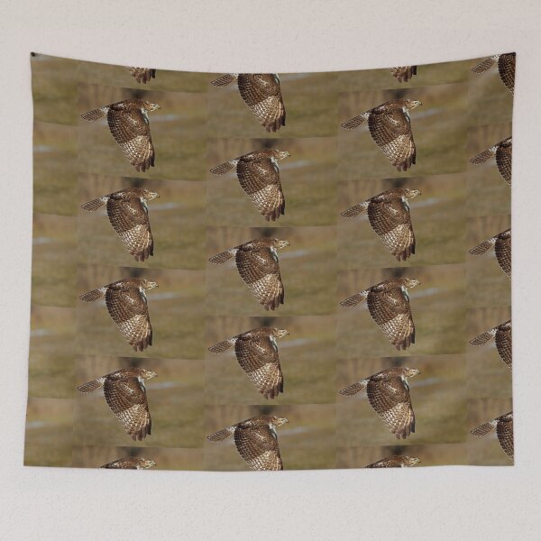 Item preview, Red-tailed Hawk designed and sold by James Cumming.