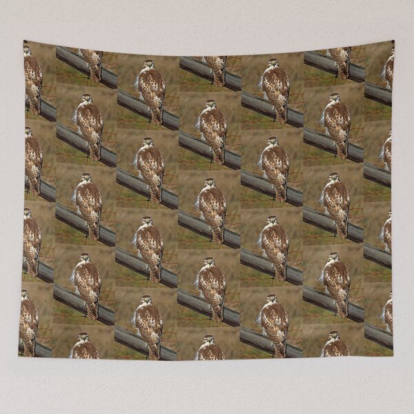 Item preview, Red-tailed Hawk on fence designed and sold by James Cumming.