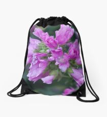 An Oddity But Beautiful Drawstring Bag