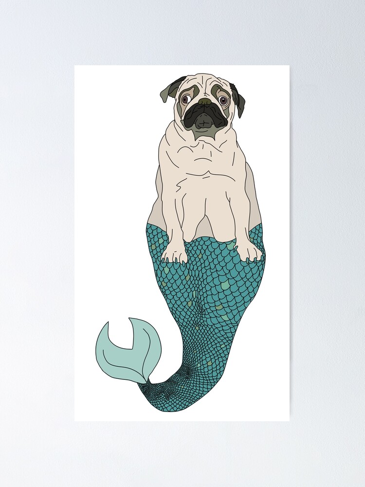 Fish pug best sale