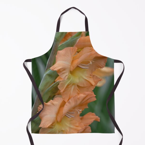 Item preview, Gladiolus Pretty Peachy designed and sold by Becky Titus.
