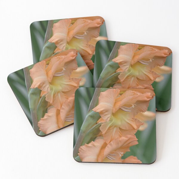 Item preview, Gladiolus Pretty Peachy designed and sold by Becky Titus.