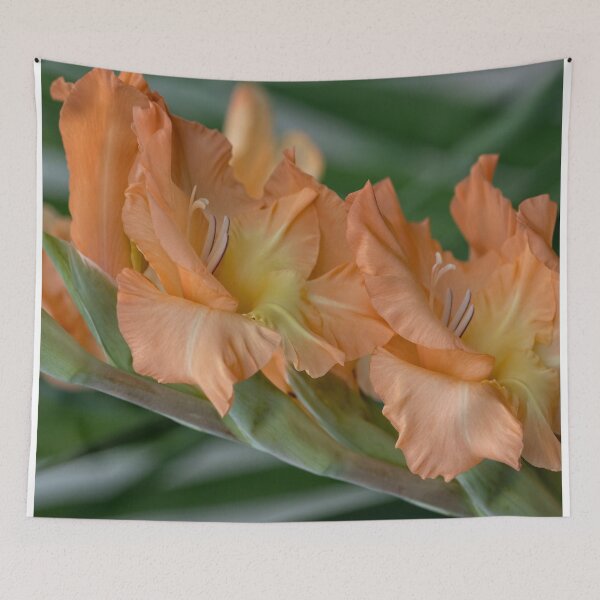 Item preview, Gladiolus Pretty Peachy designed and sold by Becky Titus.