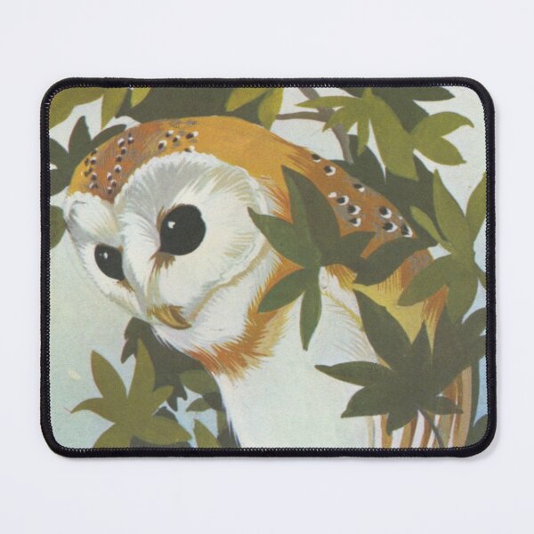 Item preview, Brown Owl designed and sold by IliaLobell.