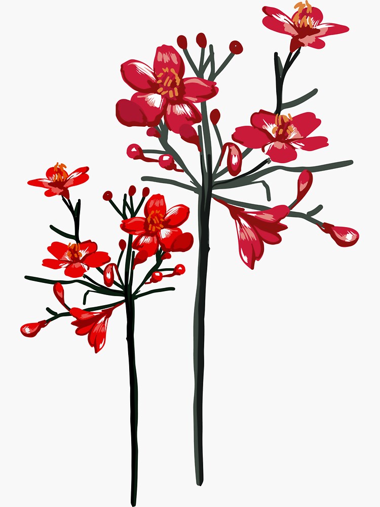 "Simple red Floral art Botanical floral drawing" Sticker for Sale by
