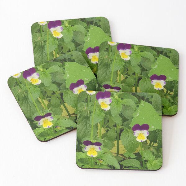Item preview, Beautifull and colorful little violet flower photo designed and sold by Pixtela ..