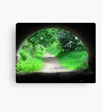 Into the Light Canvas Print